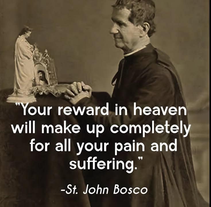 Home 43 catholic quote 091