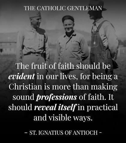 Home 14 catholic quote 120